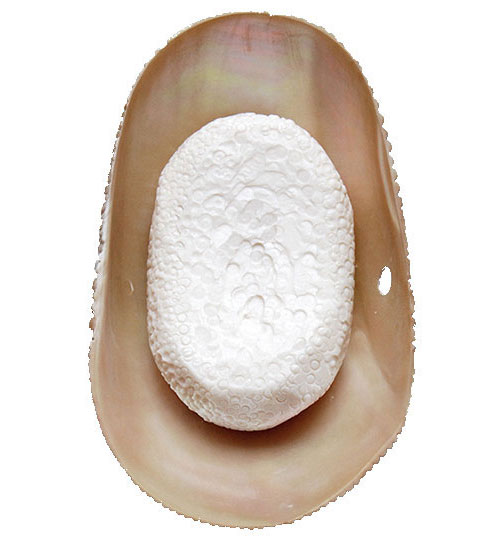 foam